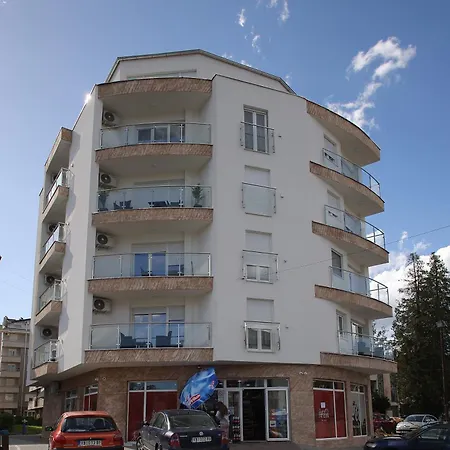 Daire Zivic Vrnjci